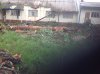 cssr zimb